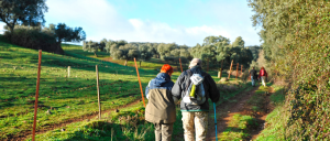 Preparando la mochila. Camino de Santiago
