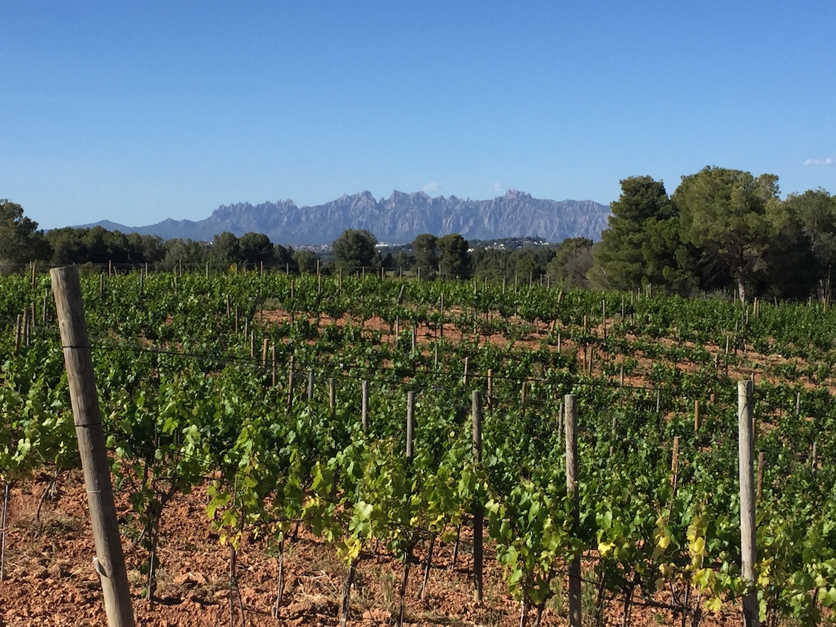 Excursión al Penedés - De vinos a los pies de Montserrat
