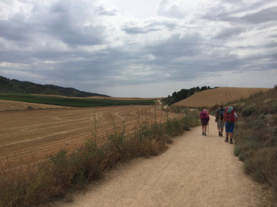 Camino a Los Arcos